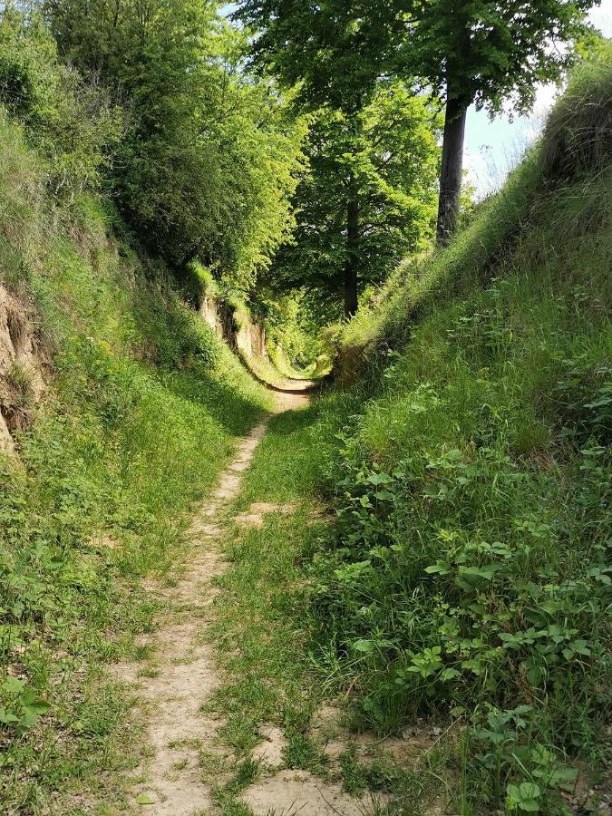 Im Herzen Des Kraichgaus 1 Ostringen Exterior foto
